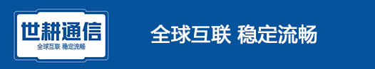 世耕通信全球办公专网服务商