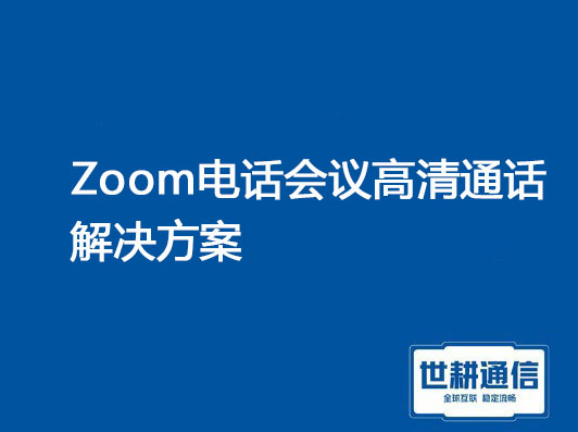 1、Zoom电话会议高清通话，2、zoom会议 不清晰 卡顿？？？解决方案//世耕通信全球办公专网