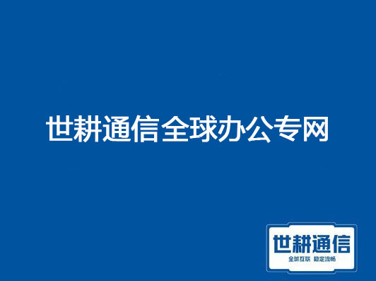 国内企业如何解决国外分支的通信问题？？？解决方案//世耕通信全球办公系统专网