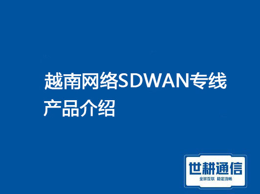 越南网络SDW.jpg