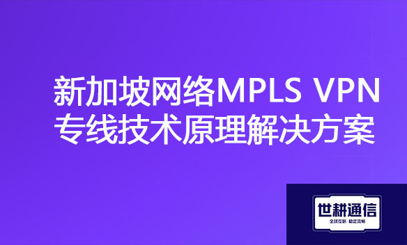 新加坡网络MPLS VPN专线技术原理解决方案.jpg