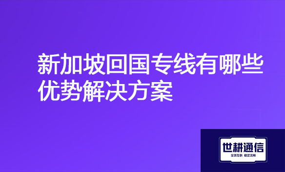 新加坡回国专线有哪些优势解决方案.jpg