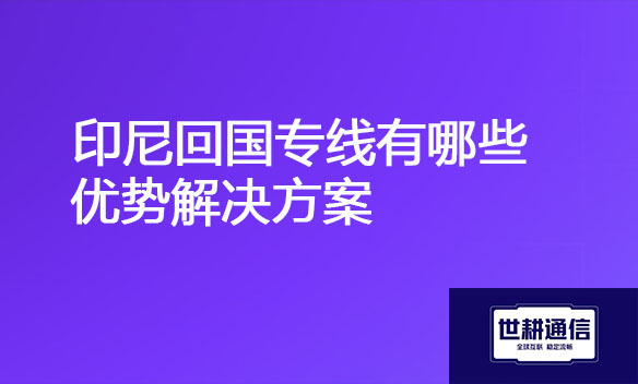 印尼回国专线有哪些优势解决方案.jpg