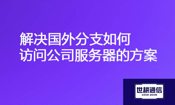 解决国外分支如何访问公司服务器的方案.jpg