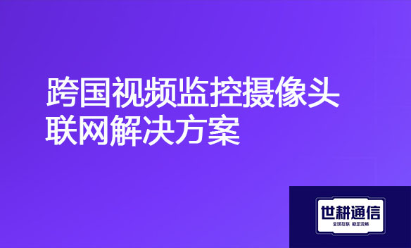 跨国视频监控摄像头联网解决方案.jpg
