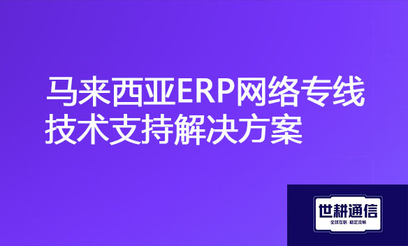 马来西亚ERP网络专线技术支持解决方案.jpg