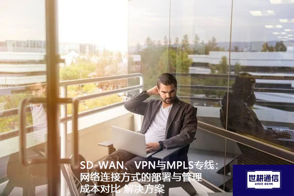 SD-WAN、VPN与MPLS专线：网络连接方式的部署与管理成本对比.jpg