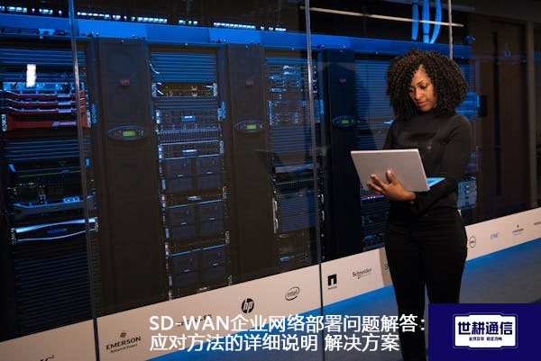 SD-WAN企业网络部署问题解答：应对方法的详细说明.jpg