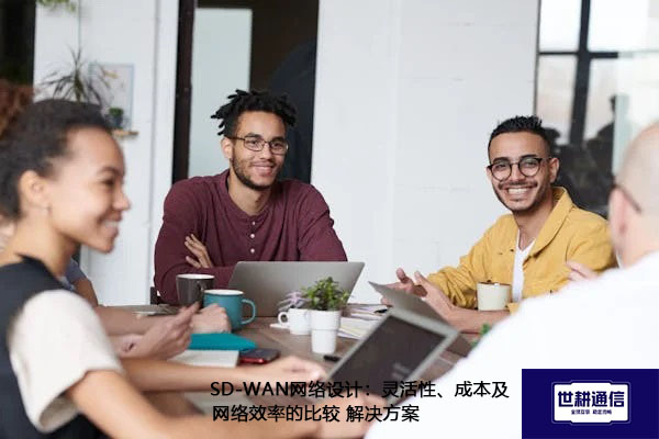 SD-WAN网络设计：灵活性、成本及网络效率的比较.jpg