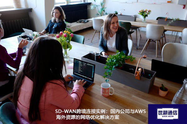 SD-WAN跨境连接实例：国内公司与AWS海外资源的网络优化解决方案.jpg