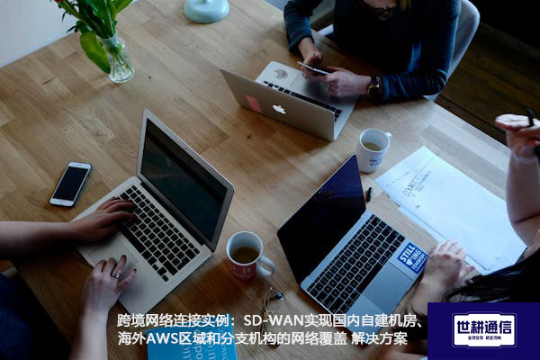跨境网络连接实例：SD-WAN实现国内自建机房、海外AWS区域和分支机构的网络覆盖.jpg
