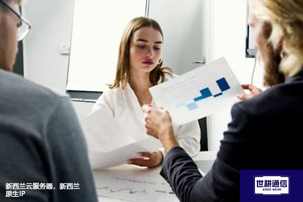 新西兰云服务器，新西兰原生IP？? ? 解决方案//世耕通信全球办公专网专线