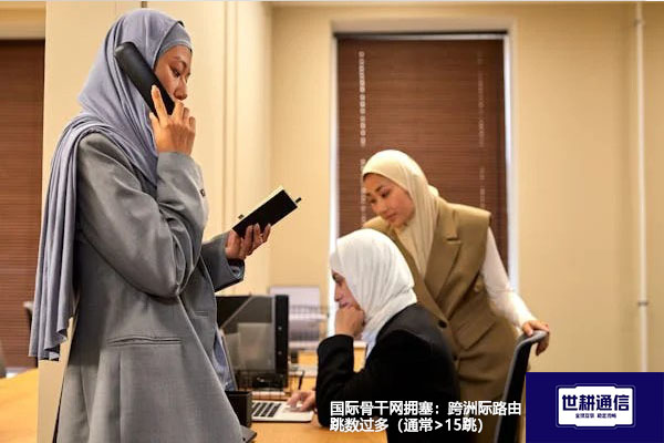 国际骨干网拥塞：跨洲际路由跳数过多（通常>15跳）---解决方案//世耕通信全球办公专网专线