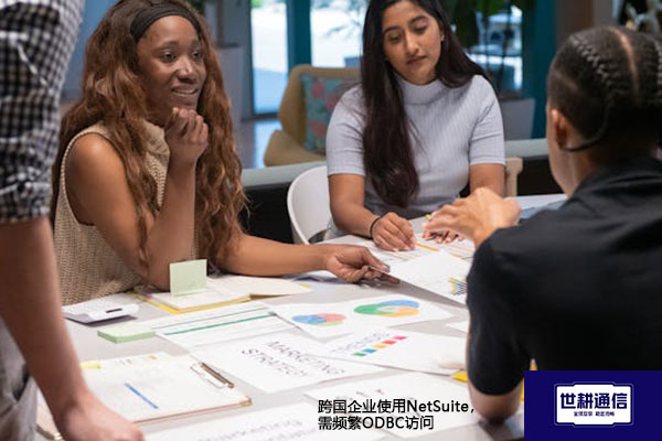 跨国企业使用NetSuite，需频繁ODBC访问---解决方案//世耕通信全球办公专网专线
