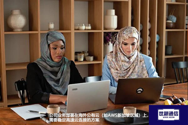公司业务部署在海外公有云（如AWS新加坡区域）上，需要稳定高速云连接--解决方案//世耕通信全球办公专网专线
