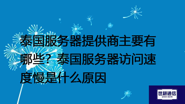 泰国服务器提供商主要有哪些？泰国服务器访问速度慢是什么原因？--解决方案//世耕通信全球办公专网专线