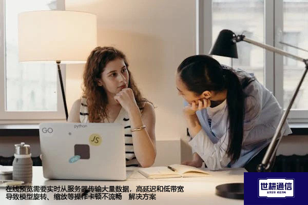 在线预览需要实时从服务器传输大量数据，高延迟和低带宽导致模型旋转、缩放等操作卡顿不流畅--解决方案//世耕通信全球办公专网专线