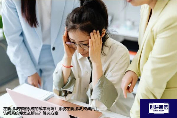在新加坡部署系统的成本高吗？系统在新加坡,欧洲员工访问系统慢怎么解决？--解决方案//世耕通信全球办公专网专线