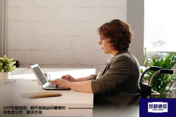  SAP性能谜团：解开系统运行缓慢的多维度分析--解决方案//世耕通信全球办公专网专线