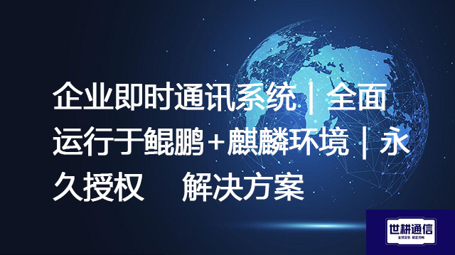 企业即时通讯系统｜全面运行于鲲鹏+麒麟环境｜永久授权--解决方案//世耕通信  即时通讯（IM）私有化部署
