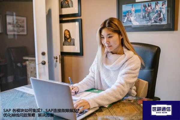 SAP 各模块如何集成？ SAP连接故障频发？优化掉线问题策略--解决方案//世耕通信全球办公专网专线