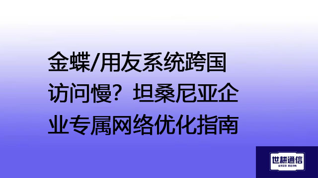 金蝶/用友系统跨国访问慢？坦桑尼亚企业专属网络优化指南--解决方案//世耕通信全球ERP、OA办公专网专线